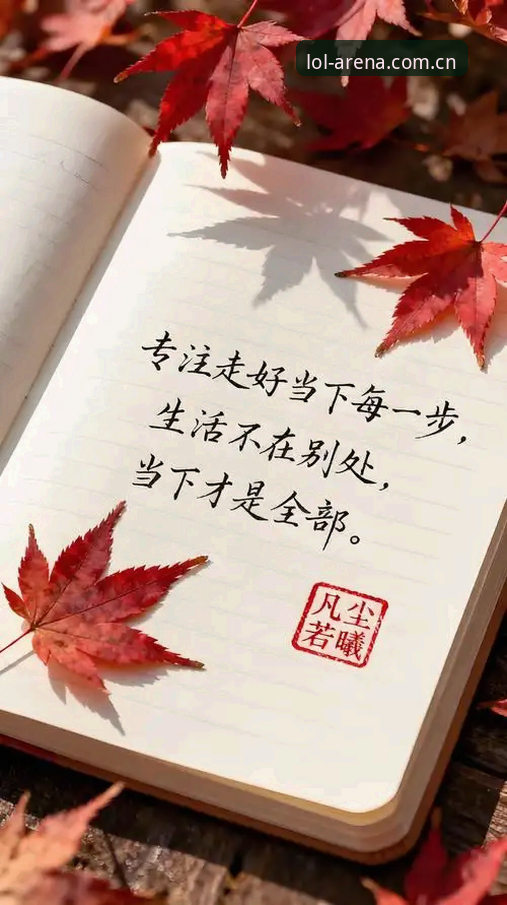 中国区外围押注平台官方入口APP下载 下个赛事数据,何必比别人慢1.2秒?